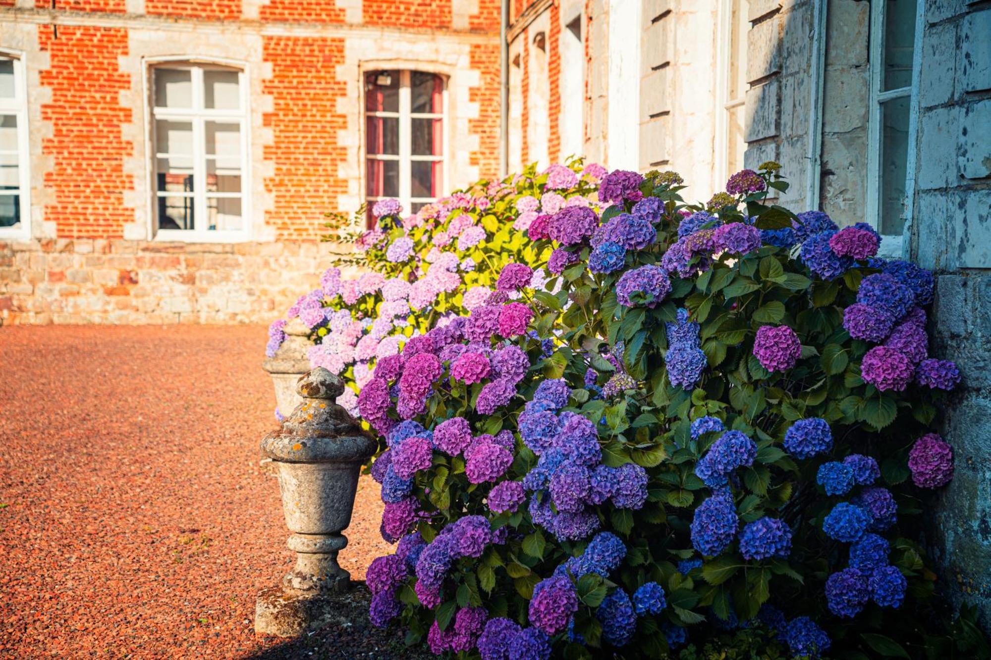 Chambres D'Hotes & Gites Du Chateau De Grand Rullecourt Εξωτερικό φωτογραφία