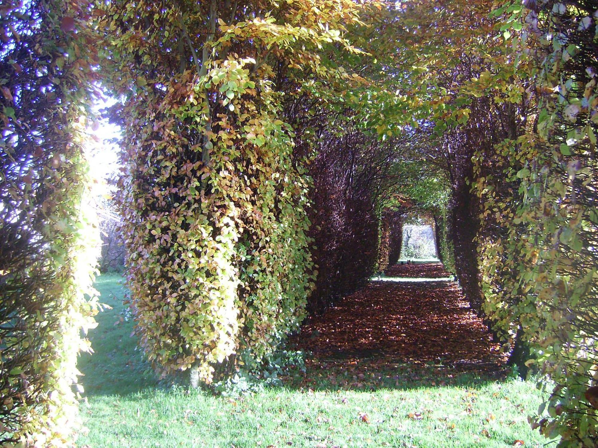 Chambres D'Hotes & Gites Du Chateau De Grand Rullecourt Εξωτερικό φωτογραφία